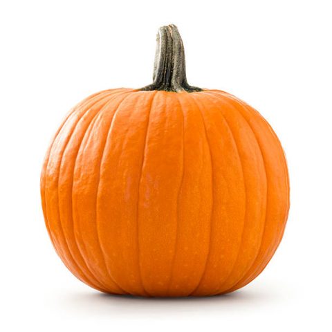 Large pumpkin